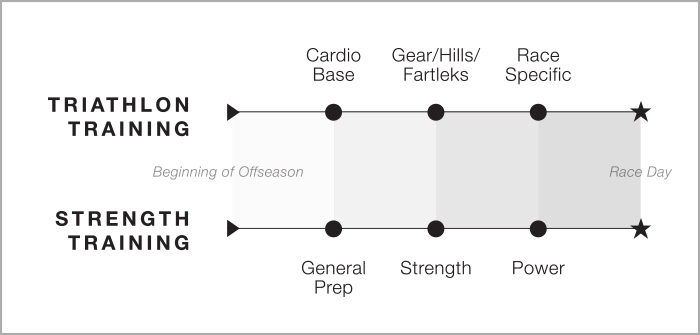 05125-workouts-to-transfer-strength-gain-fig-1