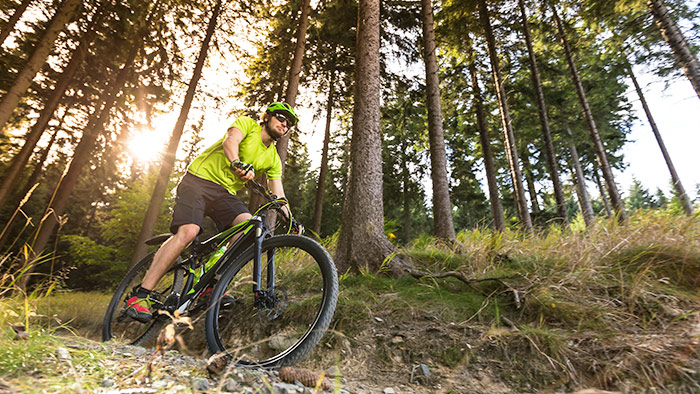 Image Of A Cyclist On A Trail In The Woods Working On Improving Mountain Bike Skills