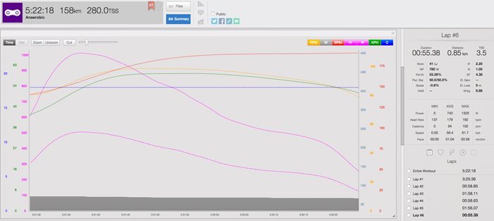 05144-seg-racing-profile-fig2-2