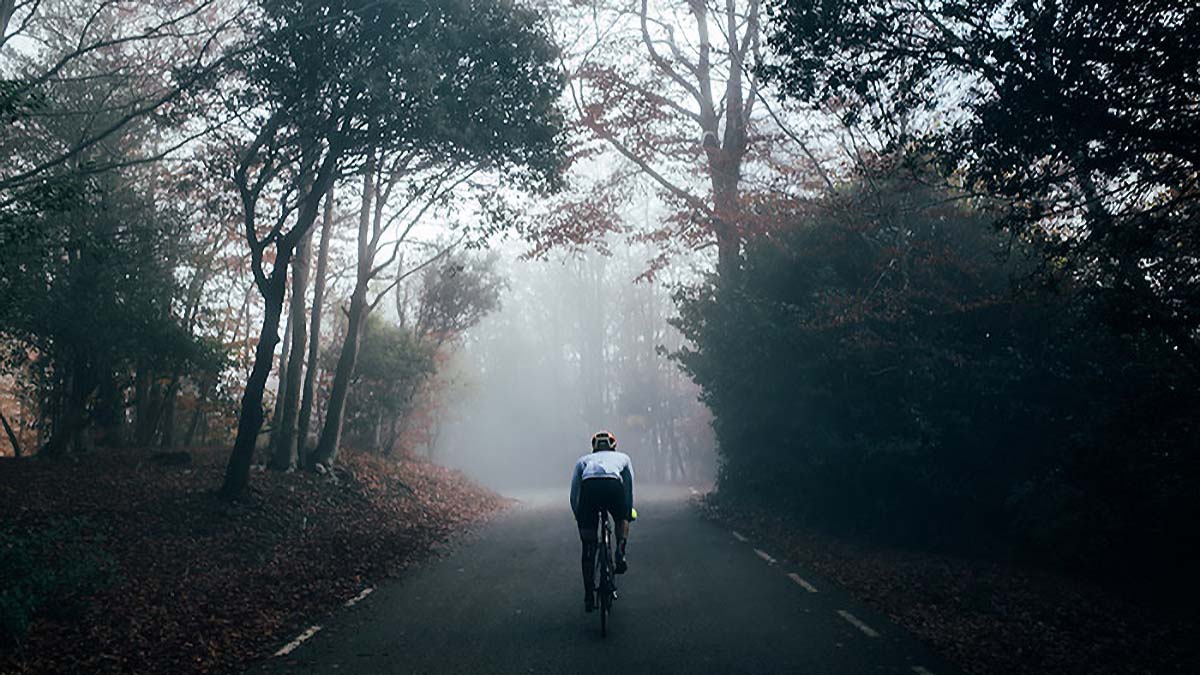 A Cyclist Riding On A Road Through A Forest With Fog