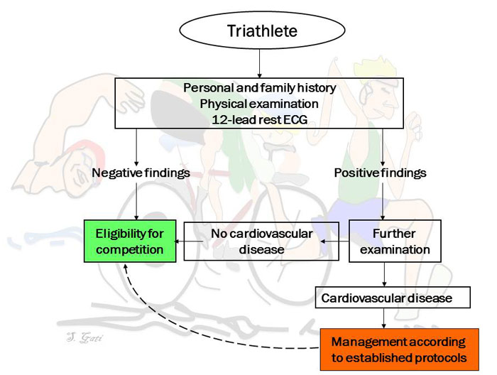 11282-know-your-risk-of-cardiac-arrest-during-open-water-swimming-fig3