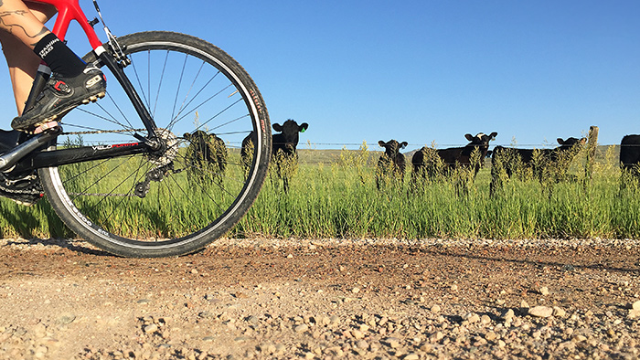 Image Of A Bike Tire On Gravel Road During Gravel Riding