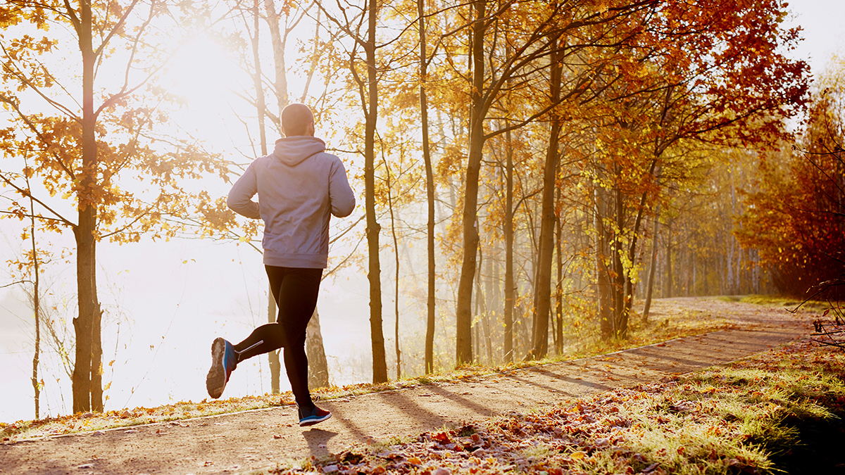 Image Of A Masters Athlete Running Down A Forest Path In Autumn