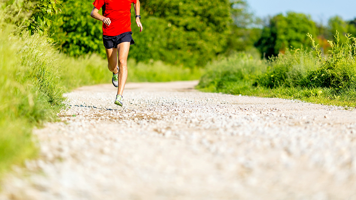 A Runner On A Forest Trail Doing Running Workouts For Race Success