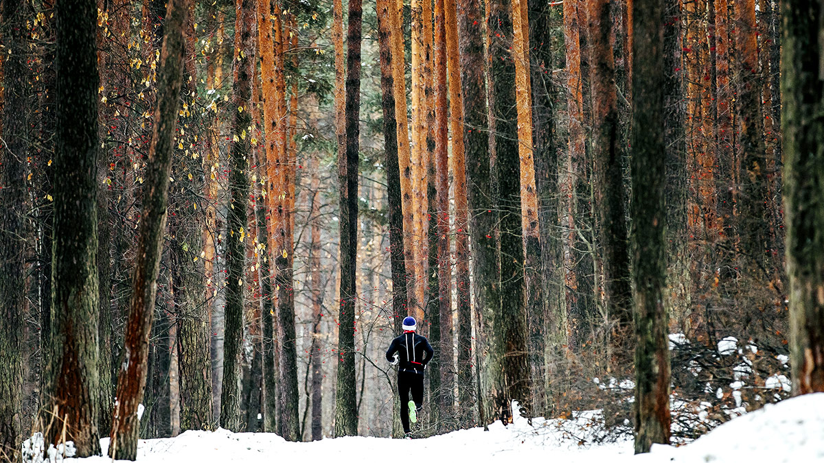 19050 Polarized Running Blog 1200×675