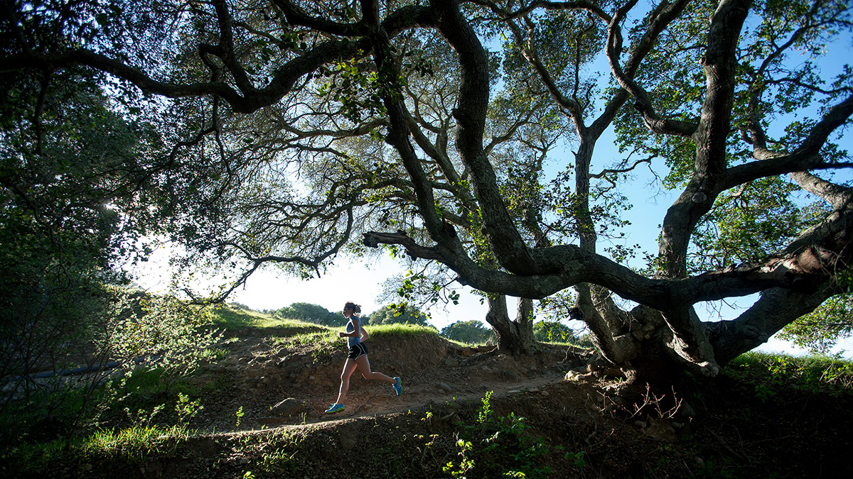 Female Runner Jogs In Forest Beneath A Large Tree. Woman Eats Enough Food To Prevent Exercise Induced Amenorrhea