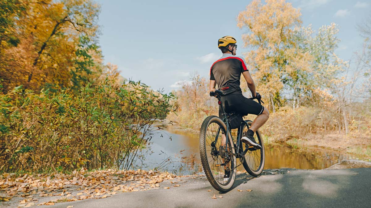 Male Cyclist Riding His Bicycle On A Beautiful Forested Path In Fall Takes A Break To Look At The Scenery