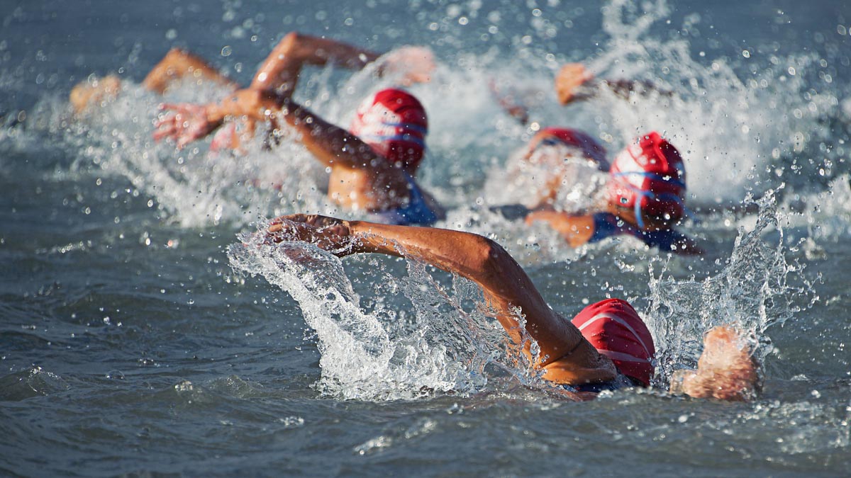 A Group Of Triathletes Swim In Open Water During A Race