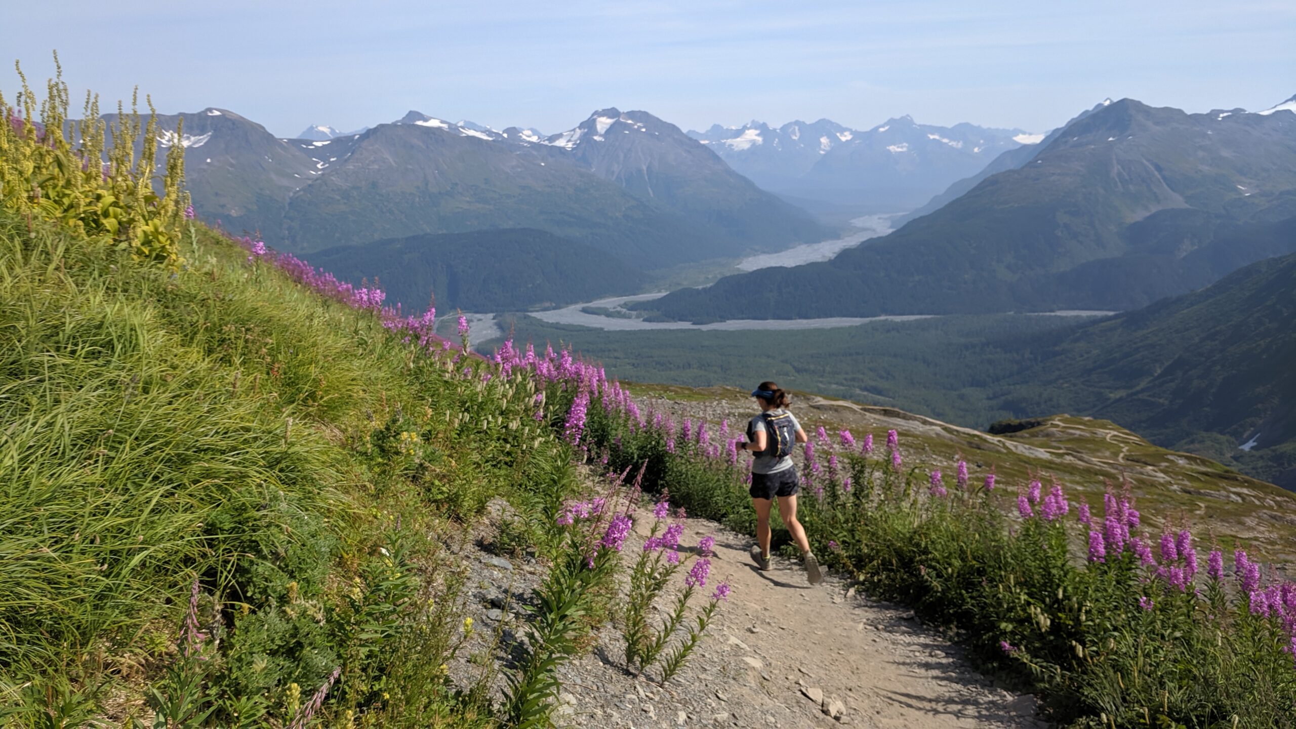 A Female Runner On A Trail Above A Deep Valley With Flowers Lining The Trail