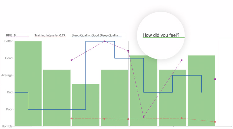 Wko5 Deeper Insights @2x 750