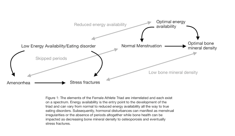 female athlete triad explained