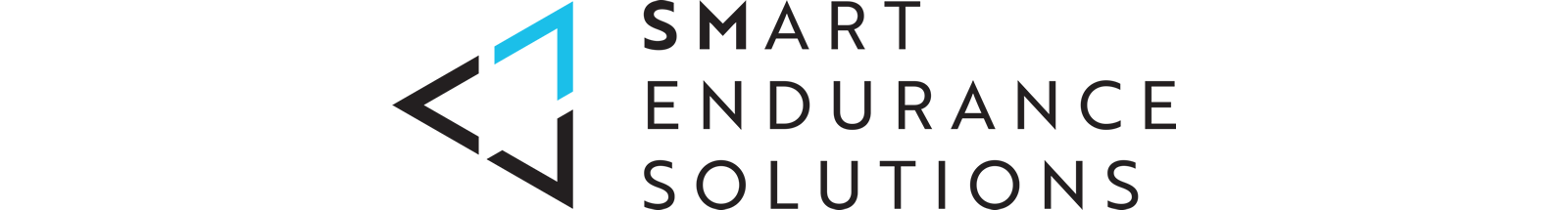 Smart Endurance Solutions logo