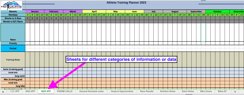 A screenshot of an example spreadsheet to document athlete info from races